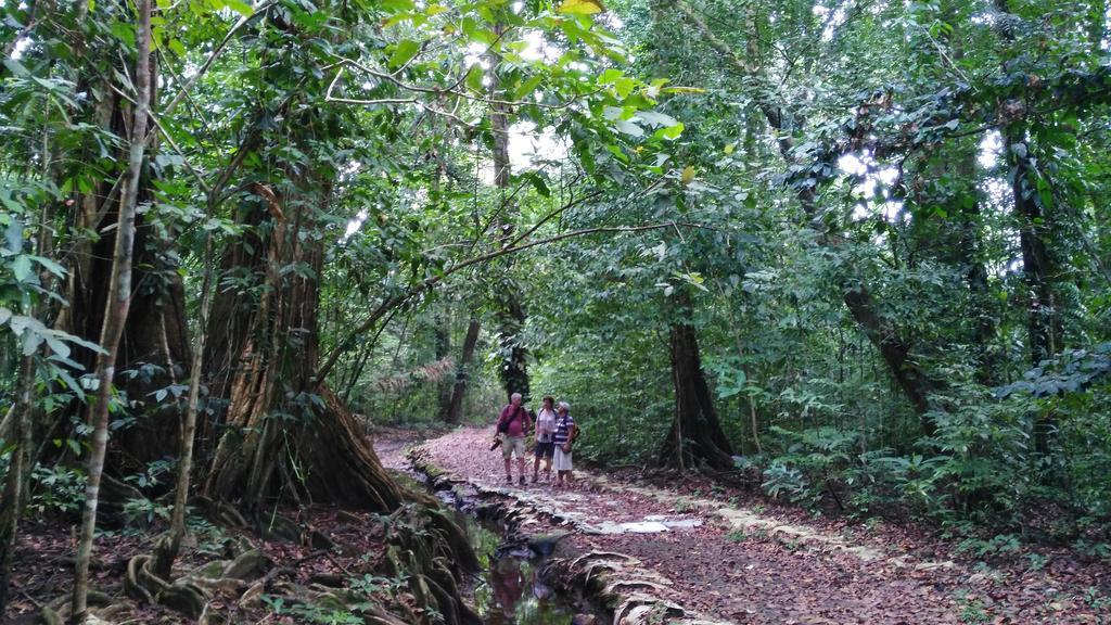 Lirio Lodge Barra de Pacuare Eksteriør bilde