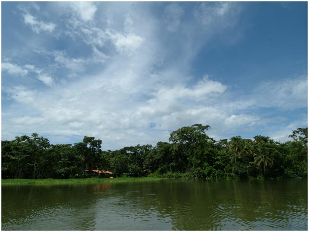 Lirio Lodge Barra de Pacuare Eksteriør bilde