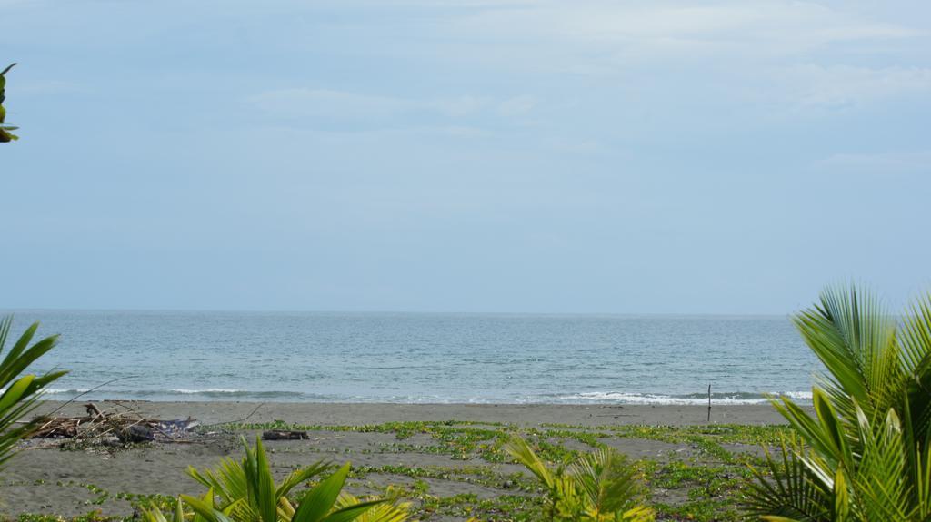 Lirio Lodge Barra de Pacuare Eksteriør bilde