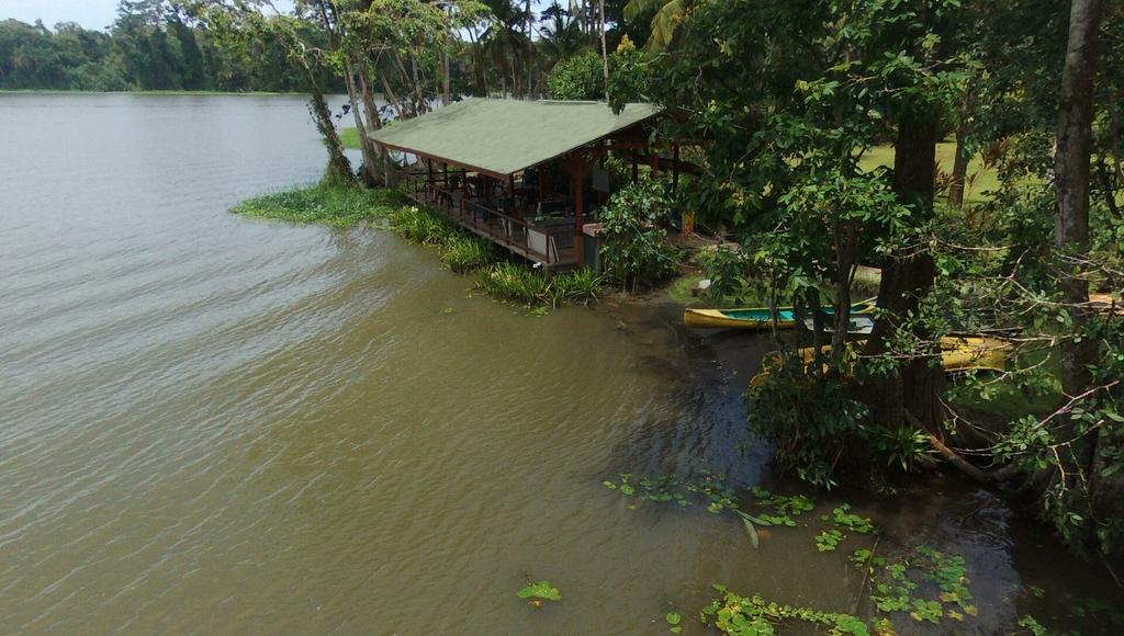 Lirio Lodge Barra de Pacuare Eksteriør bilde