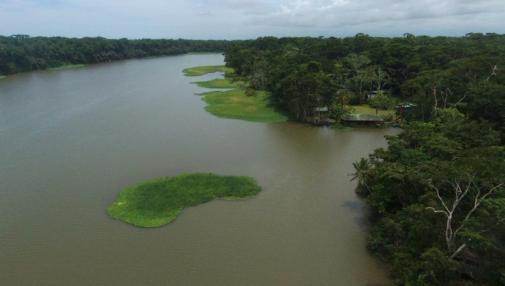 Lirio Lodge Barra de Pacuare Eksteriør bilde