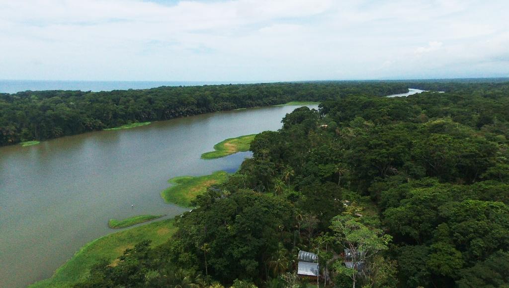 Lirio Lodge Barra de Pacuare Eksteriør bilde