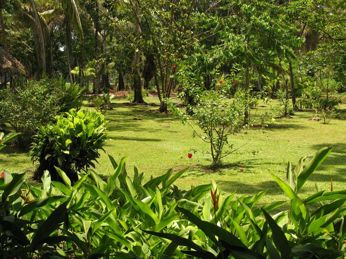 Lirio Lodge Barra de Pacuare Eksteriør bilde