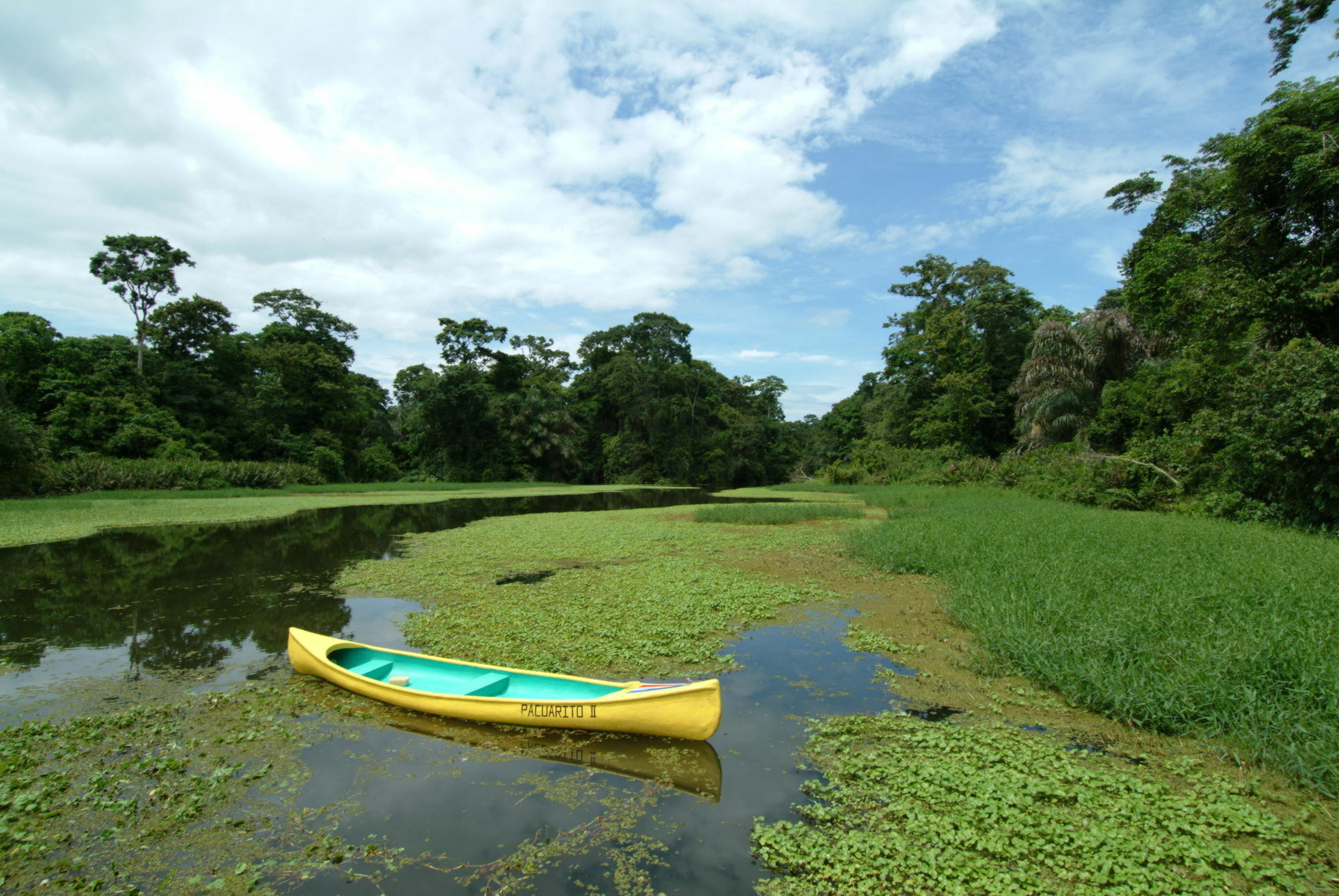 Lirio Lodge Barra de Pacuare Eksteriør bilde