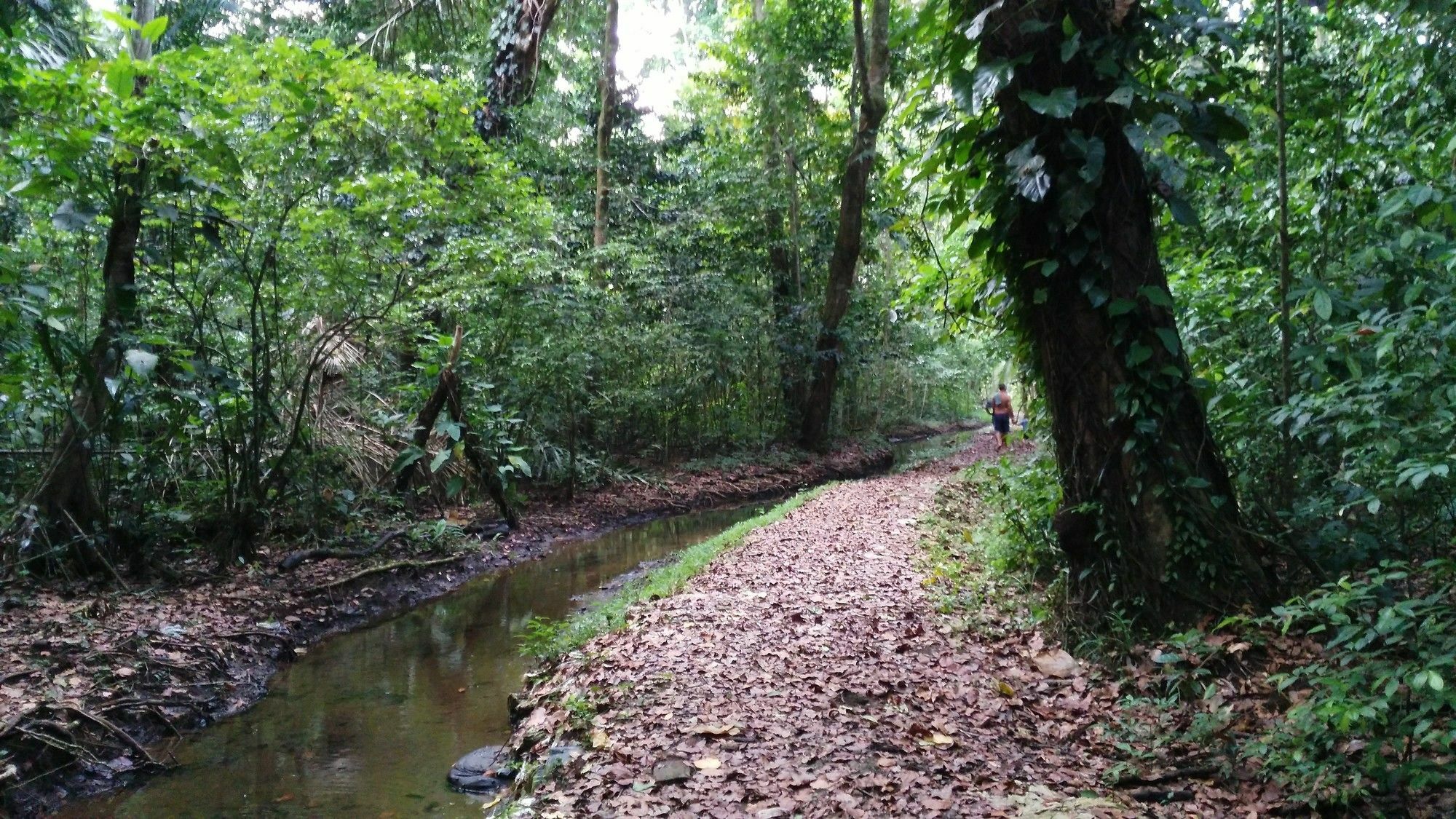 Lirio Lodge Barra de Pacuare Eksteriør bilde