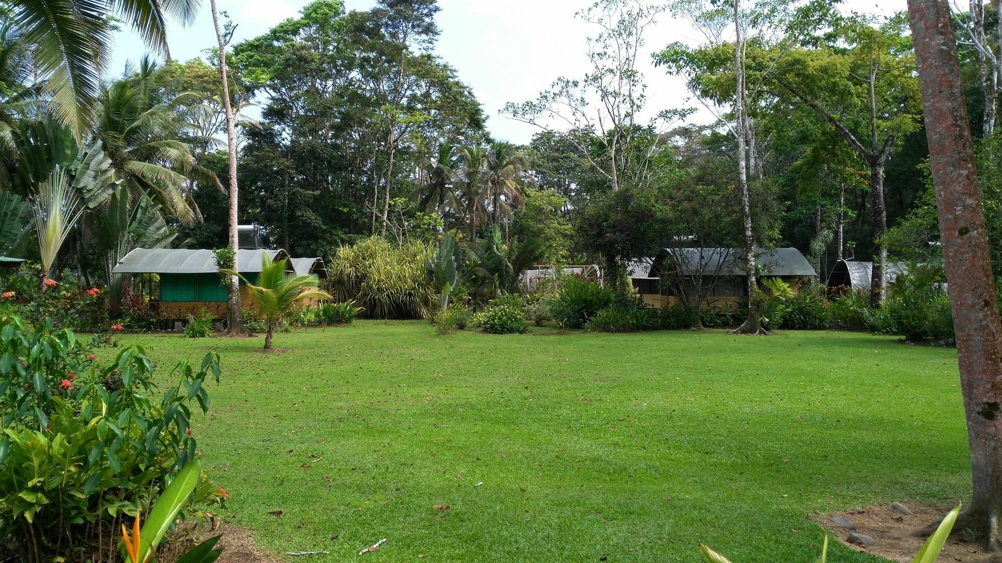 Lirio Lodge Barra de Pacuare Eksteriør bilde