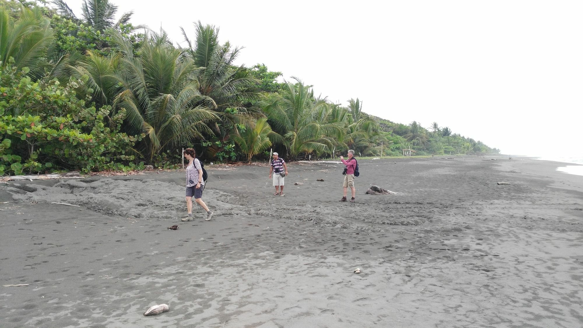 Lirio Lodge Barra de Pacuare Eksteriør bilde