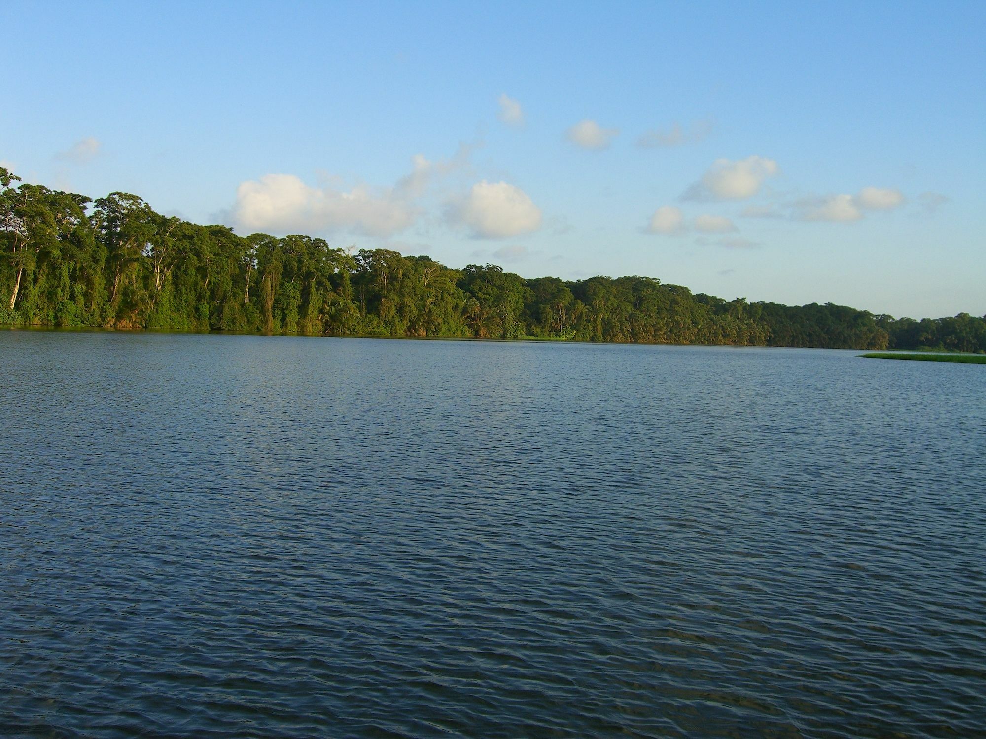 Lirio Lodge Barra de Pacuare Eksteriør bilde