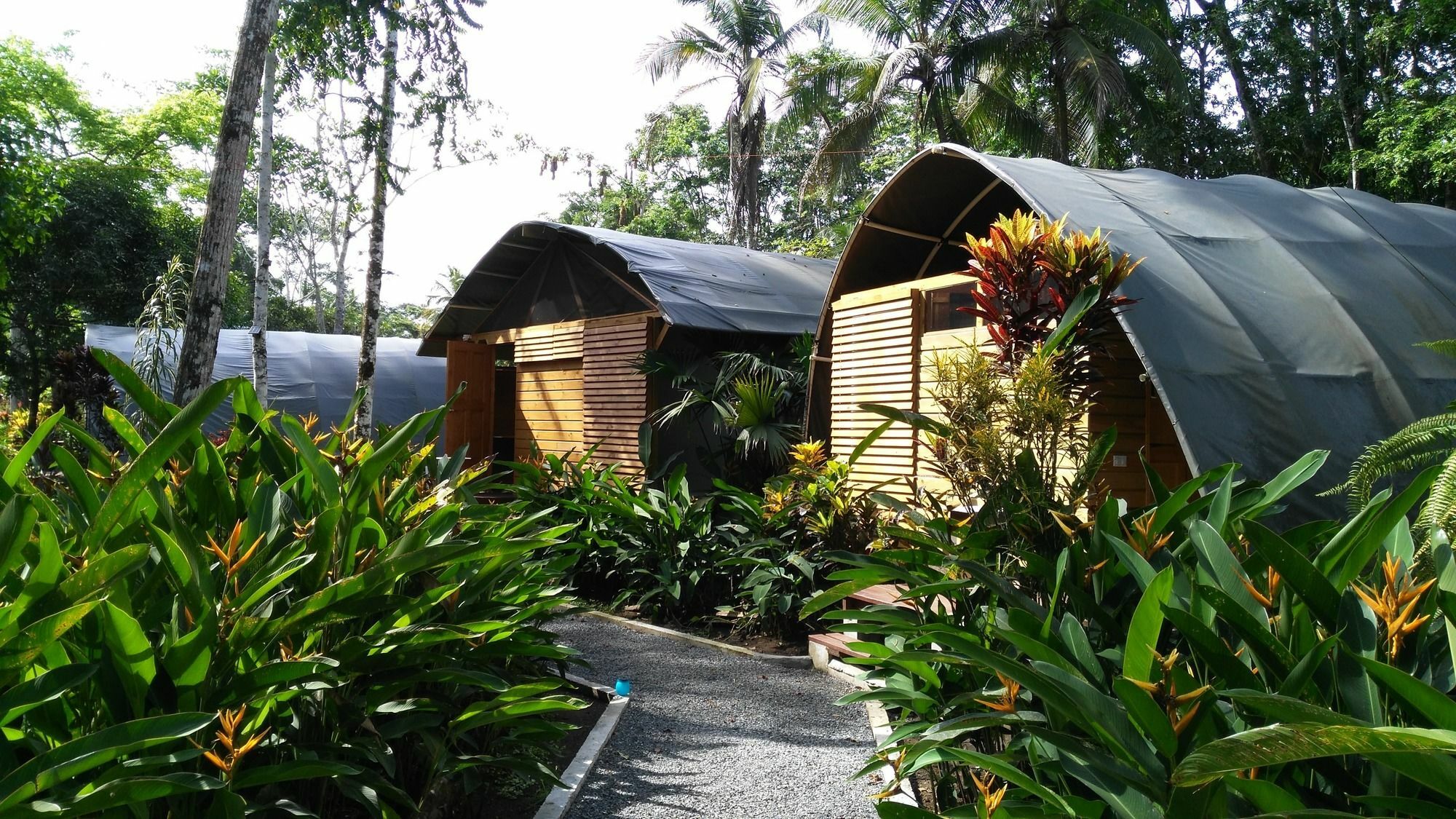 Lirio Lodge Barra de Pacuare Eksteriør bilde