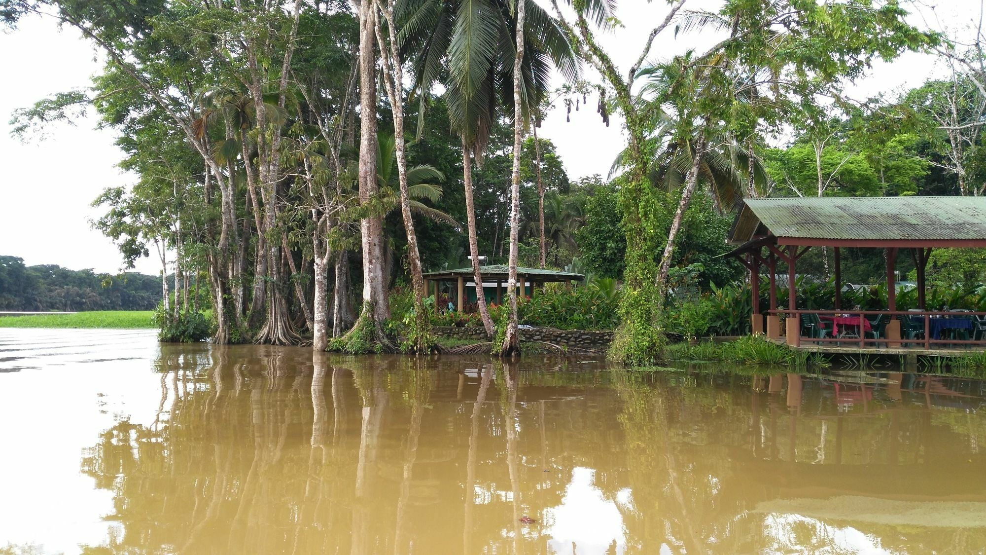 Lirio Lodge Barra de Pacuare Eksteriør bilde