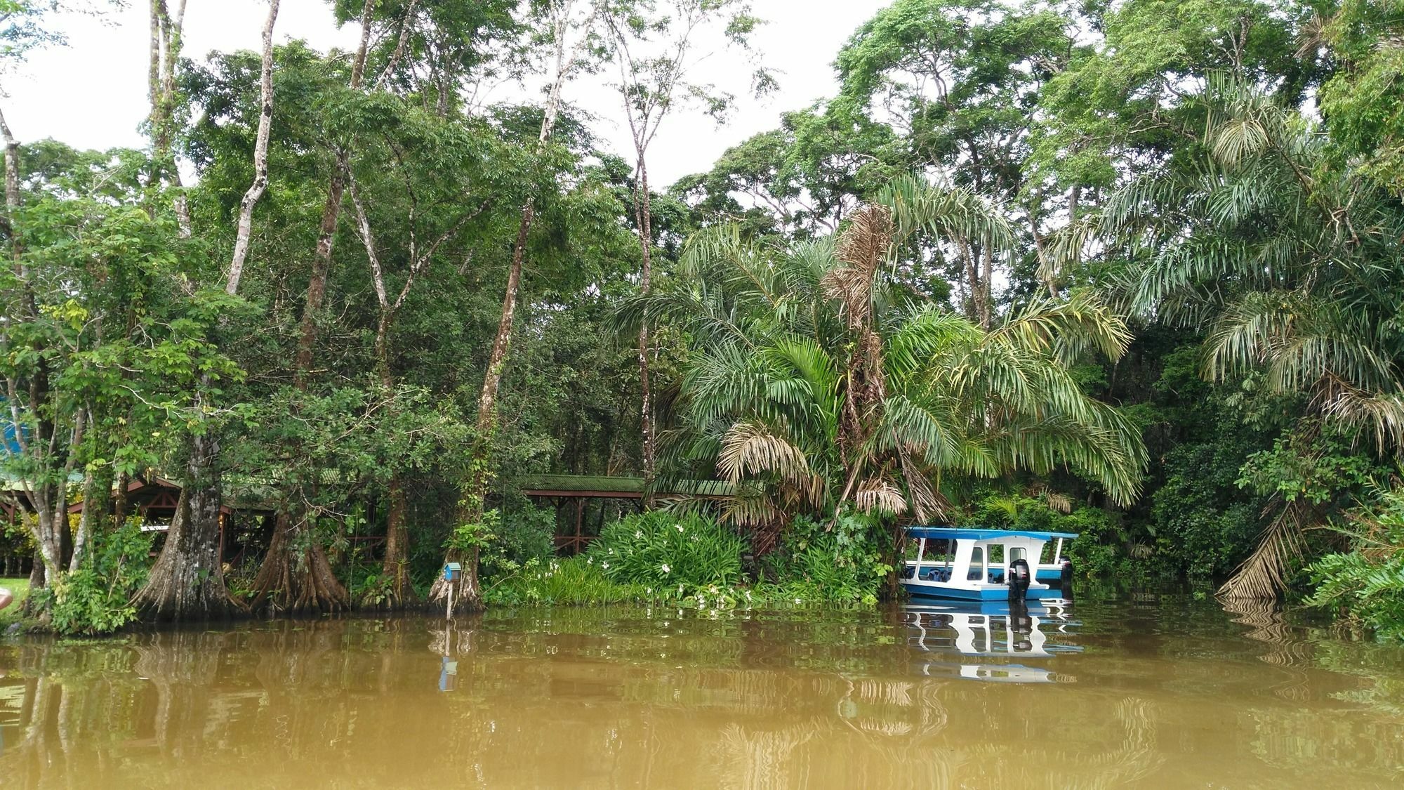 Lirio Lodge Barra de Pacuare Eksteriør bilde