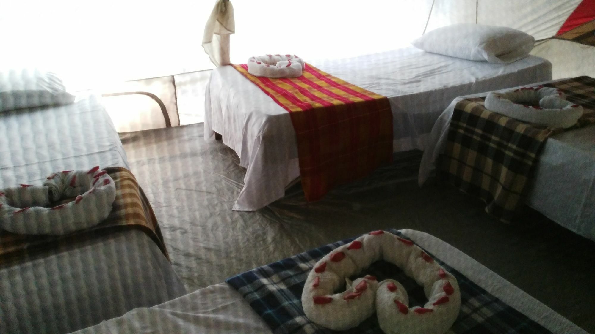 Lirio Lodge Barra de Pacuare Eksteriør bilde