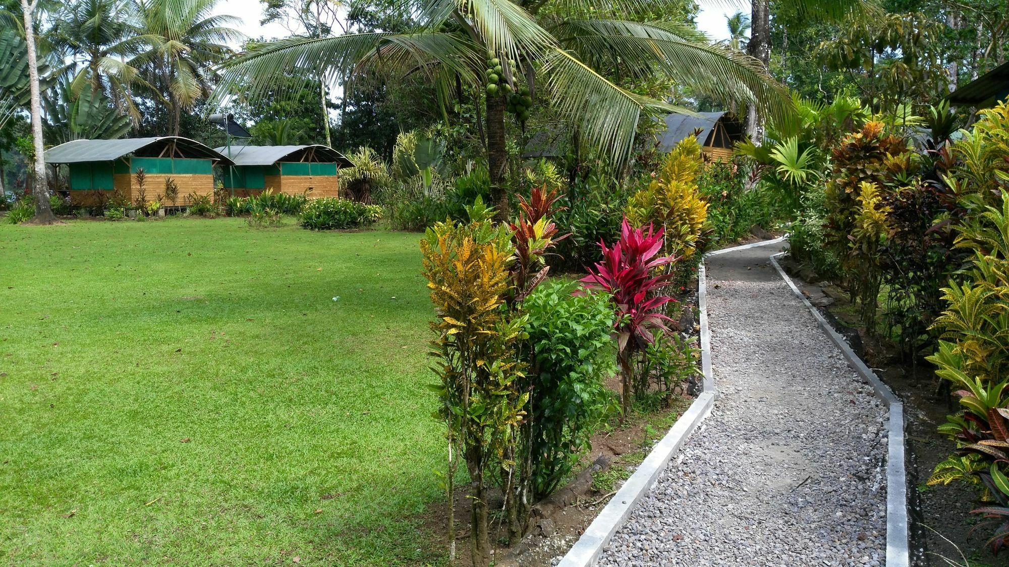 Lirio Lodge Barra de Pacuare Eksteriør bilde